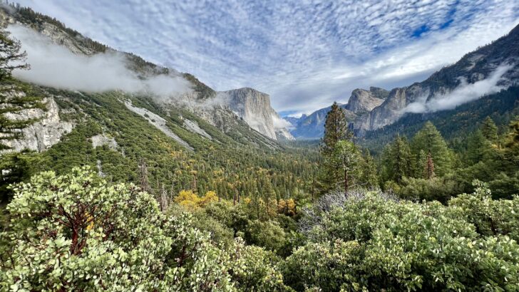 Best Views in Yosemite National Park: 6 Jaw-Dropping Stops You Can’t Miss