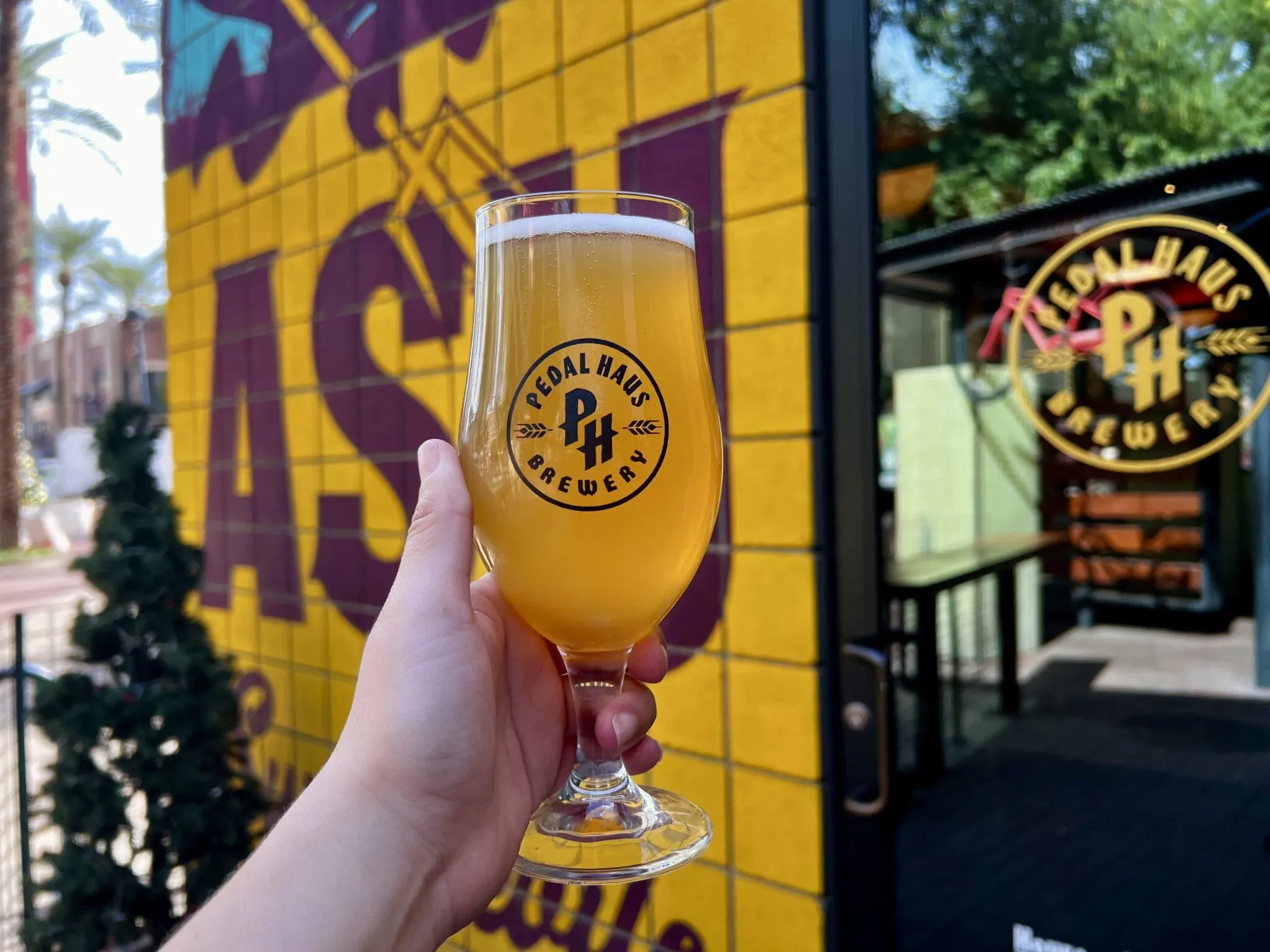 Holding beer in front of ASU mural