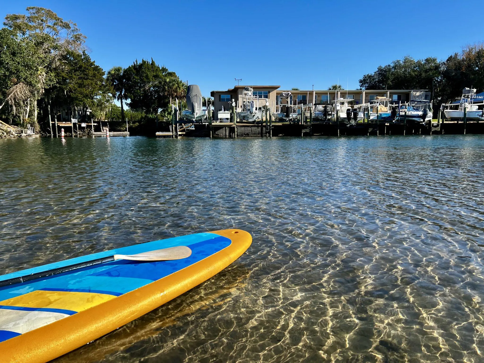 Paddleboard in the water in residential area