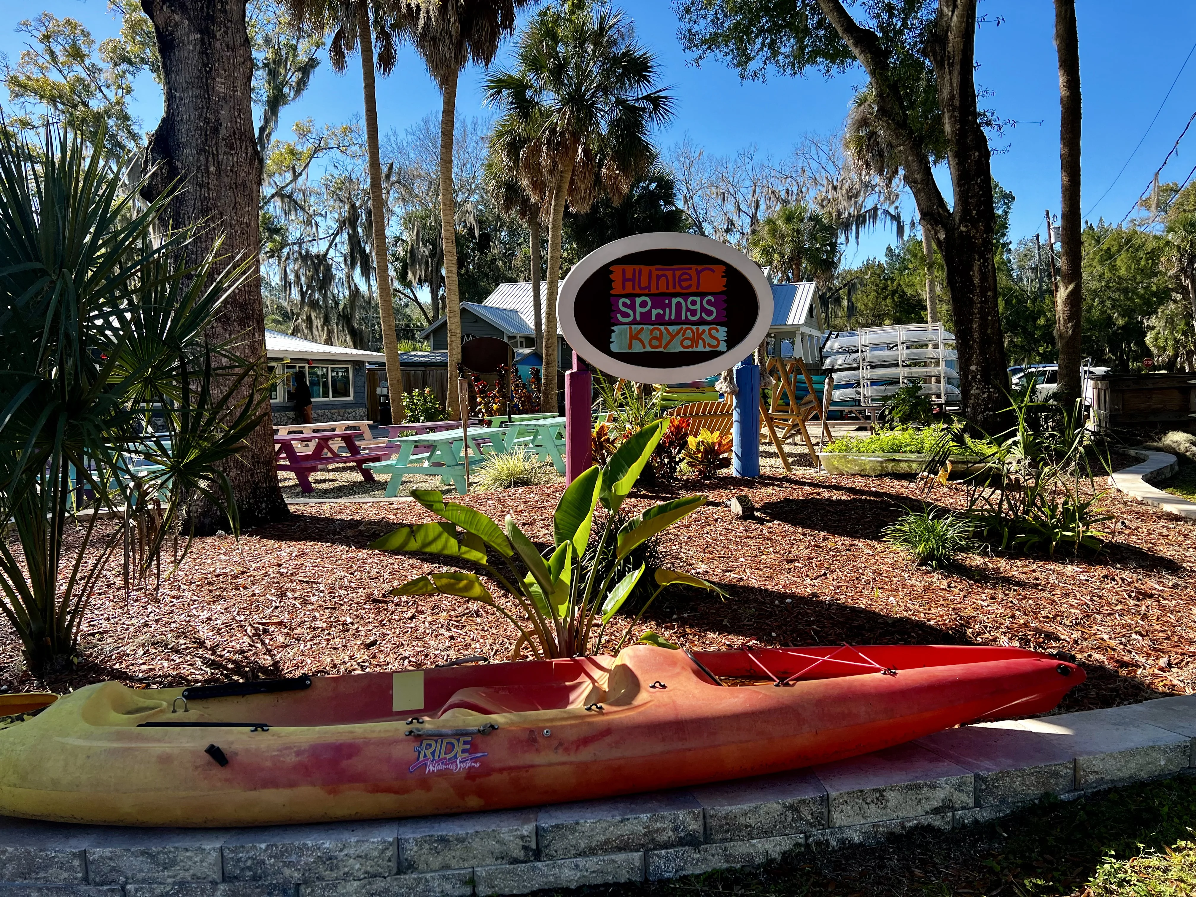 Kayaks in front of palm tree with hanging sign