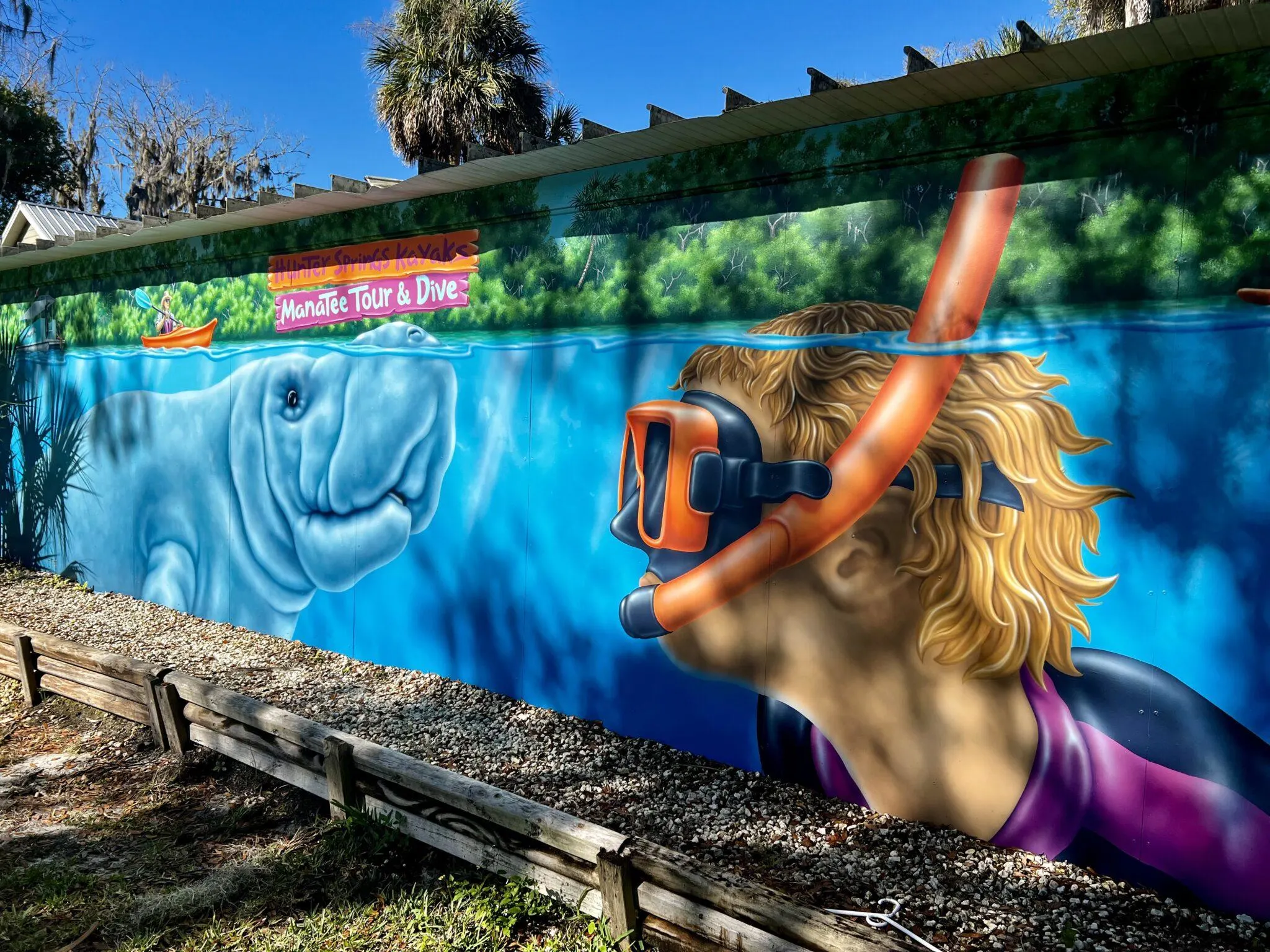 Mural of person snorkeling and manatee