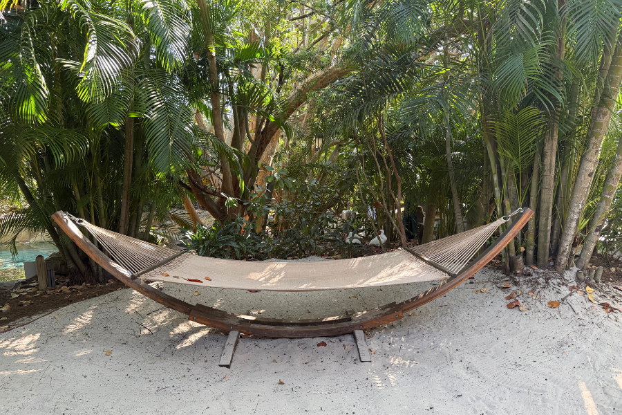 Hammock surrounded by trees