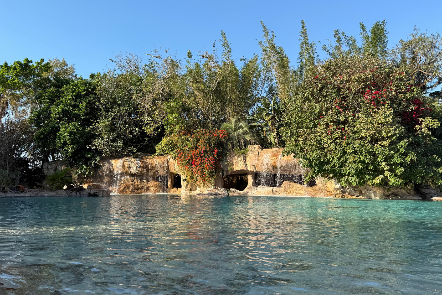 Discovery Cove Orlando: Is It Worth It? Guide to Tickets, Attractions & All-Inclusive Perks