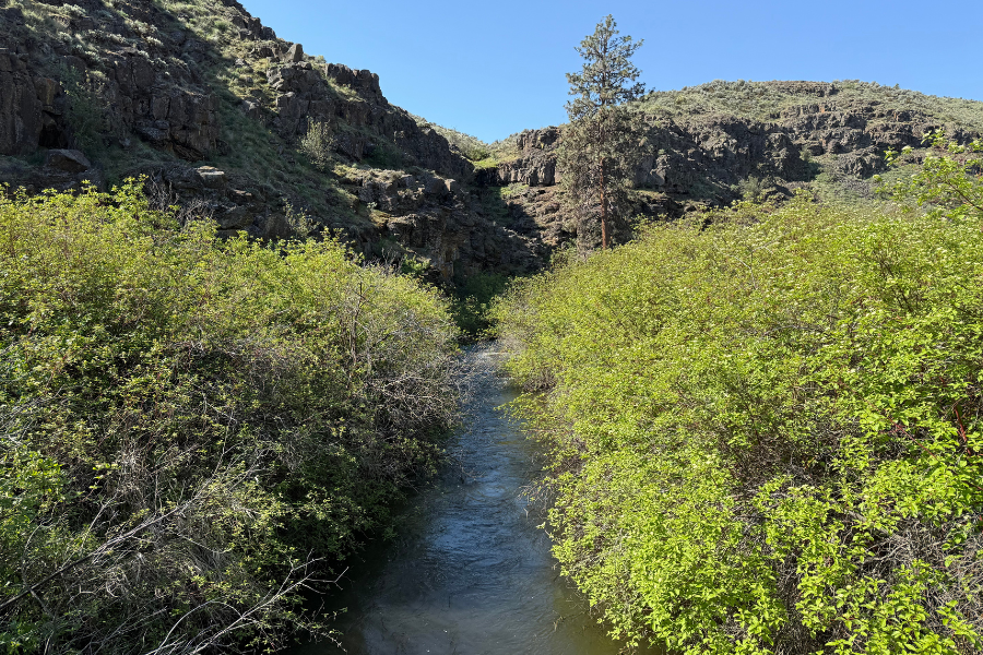 Creek along a hike in Yakima Valley