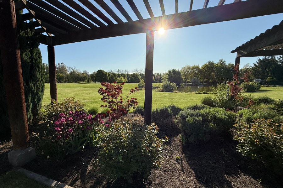 Morning at Yakima Arboretum