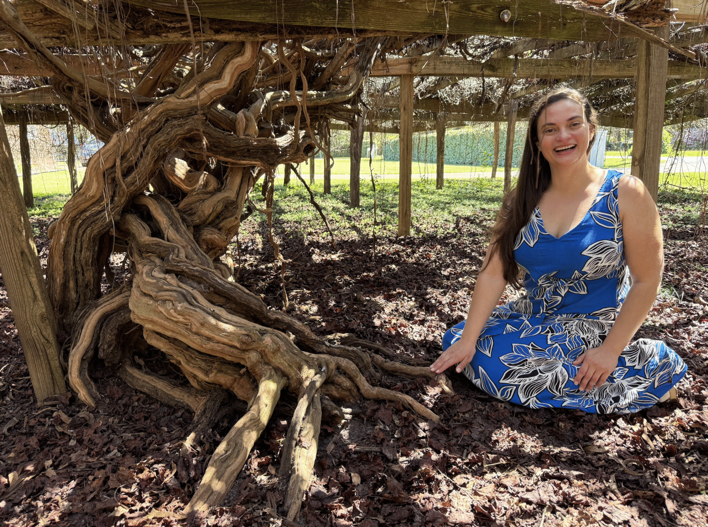 Woman sitting next to Mother Vine