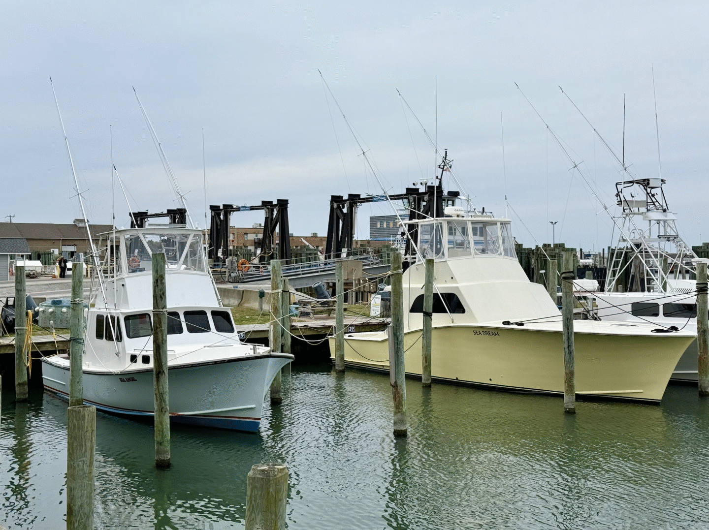 Boats in harbor