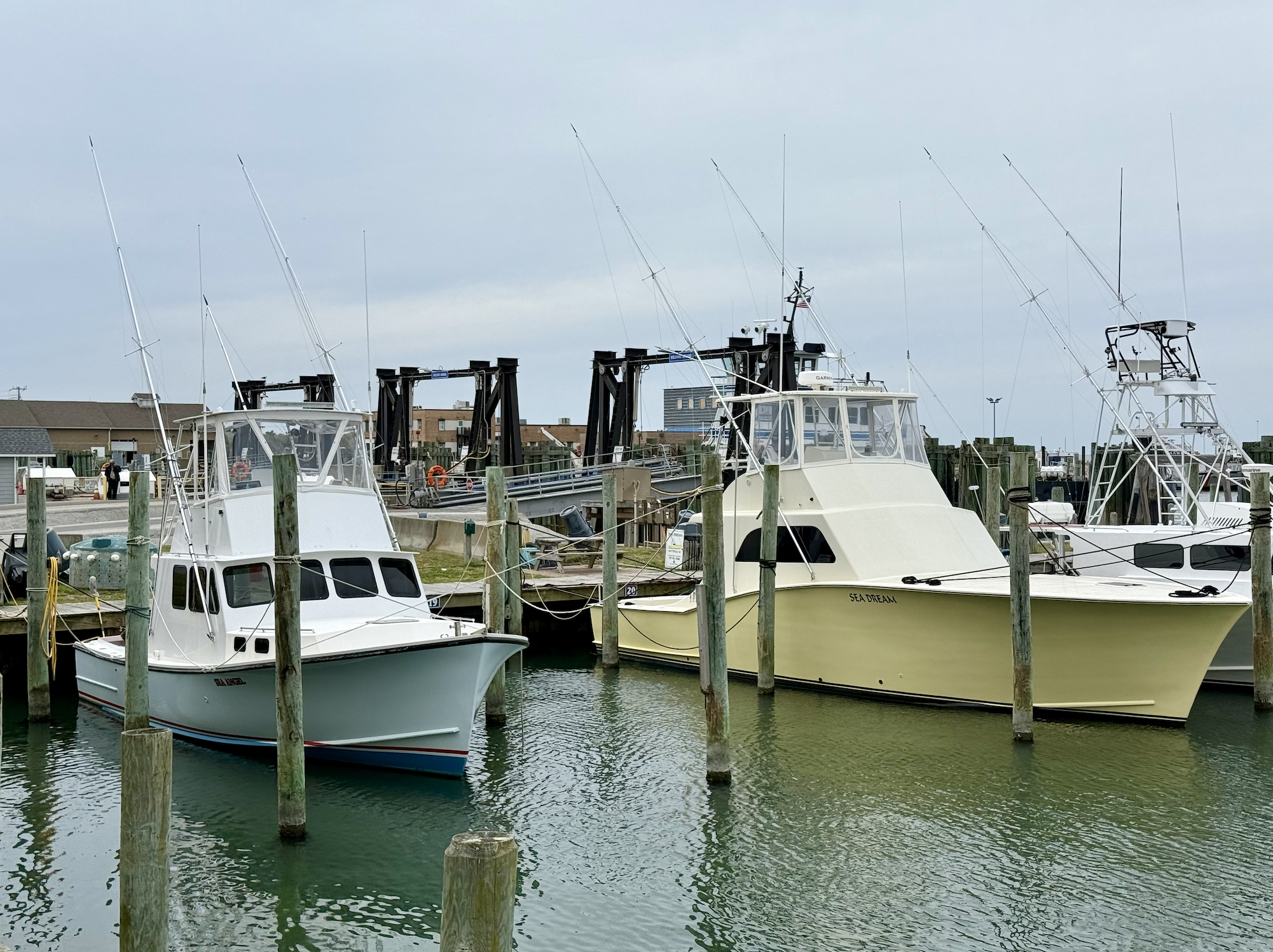 Boats in harbor