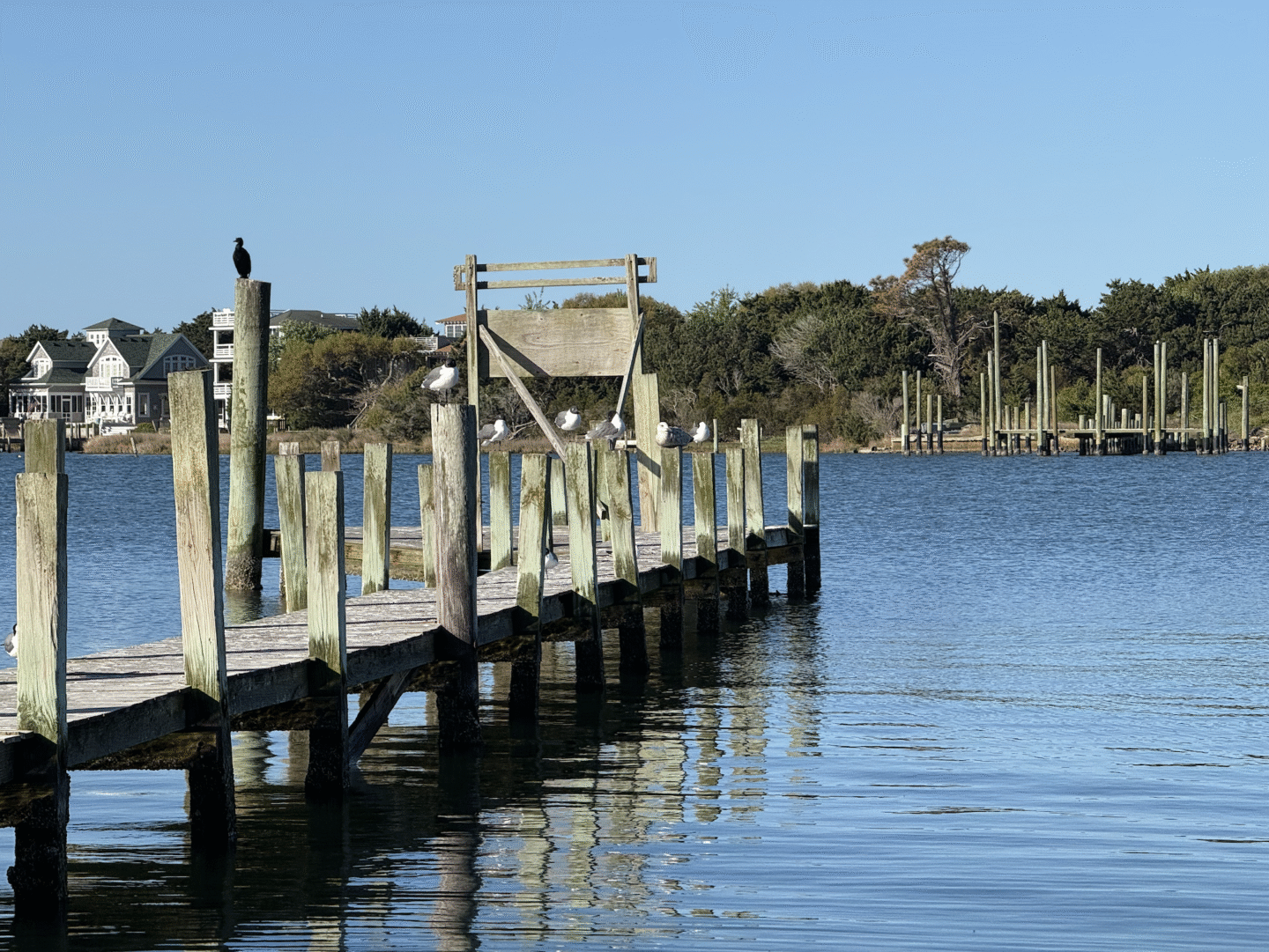 Dock going into water
